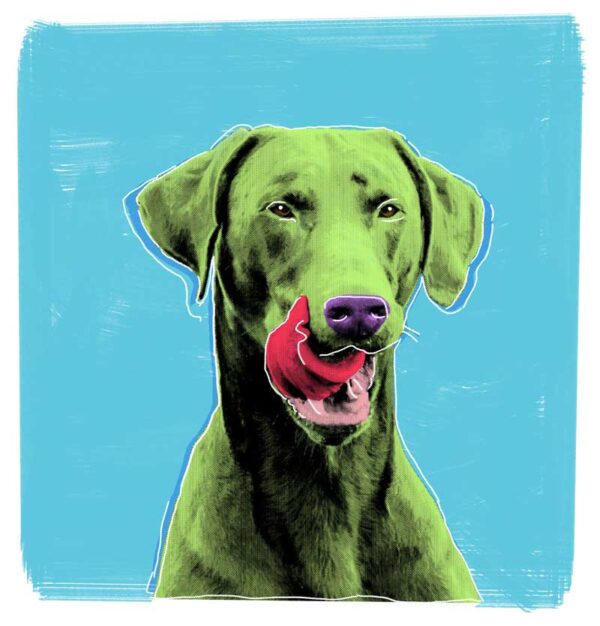 Pup Art N° 4 - Afbeelding 2